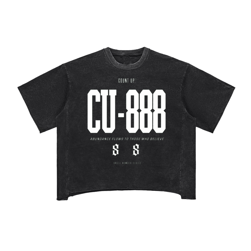 Snow Washed Boxy 888 T-Shirt