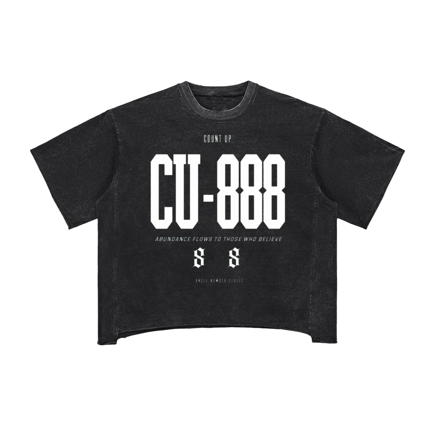 Snow Washed Boxy 888 T-Shirt